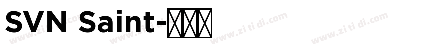SVN Saint字体转换